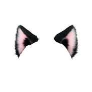 프로필이미지